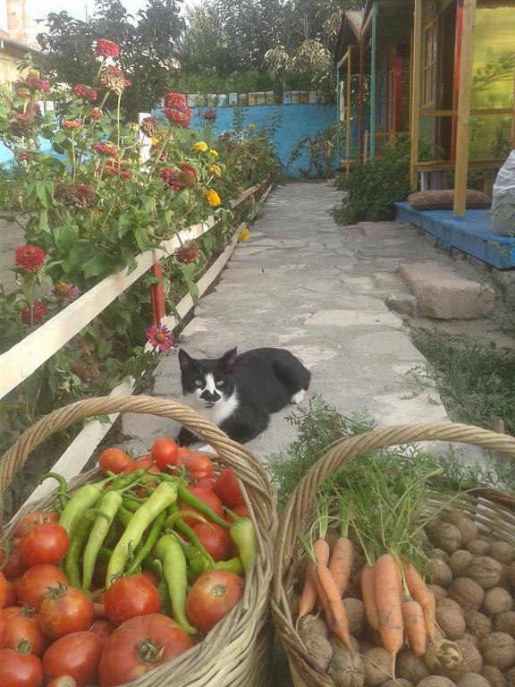 Garden Of Cappadocia Διαμέρισμα Uchisar Εξωτερικό φωτογραφία