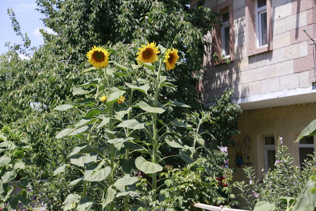 Garden Of Cappadocia Διαμέρισμα Uchisar Εξωτερικό φωτογραφία